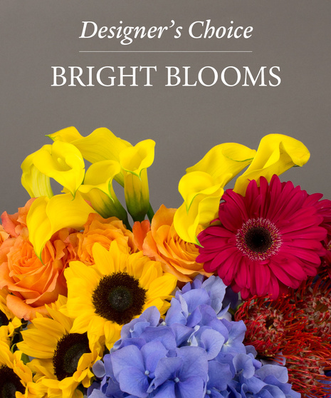 Designer's Choice - Bright Blooms